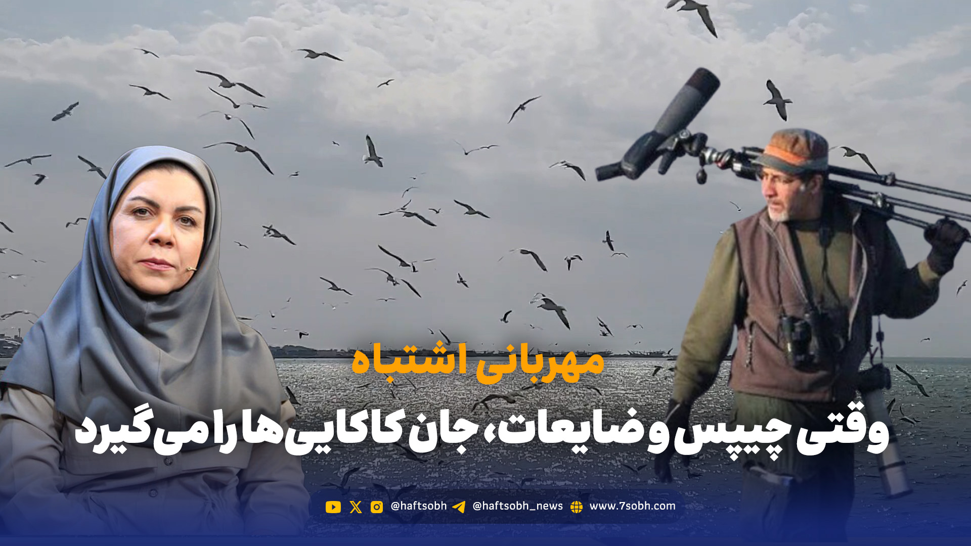 وقتی چیپس و ضایعات، جان کاکایی‌ها را می‌گیرد