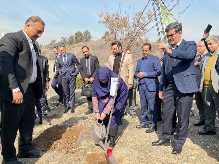 پیوستن رئیس سازمان حفاظت محیط‌زیست به پویش ملی درختکاری «سرو ایران»